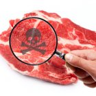 Обратная сторона белковой диеты