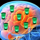 Влияние алкоголя на мозг и память