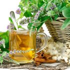 Лечение алкоголизма народными методами