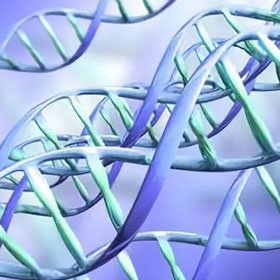 Генетическая предрасположенность к алкоголизму