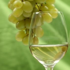 Белое вино повышает риск меланомы