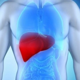 Алкогольный гепатит