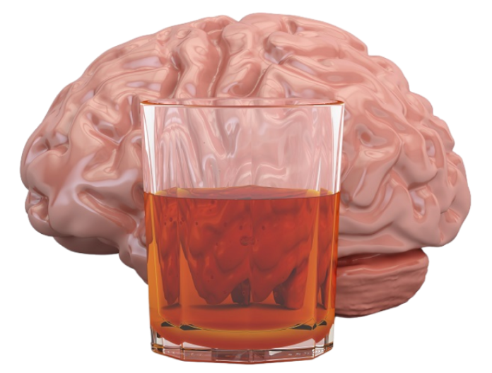 Как алкоголь влияет на развитие деменции