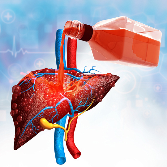 Алкоголь в твоём теле